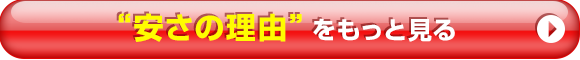 引越バービィー